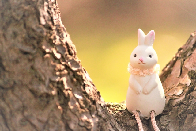 木に座るうさぎ